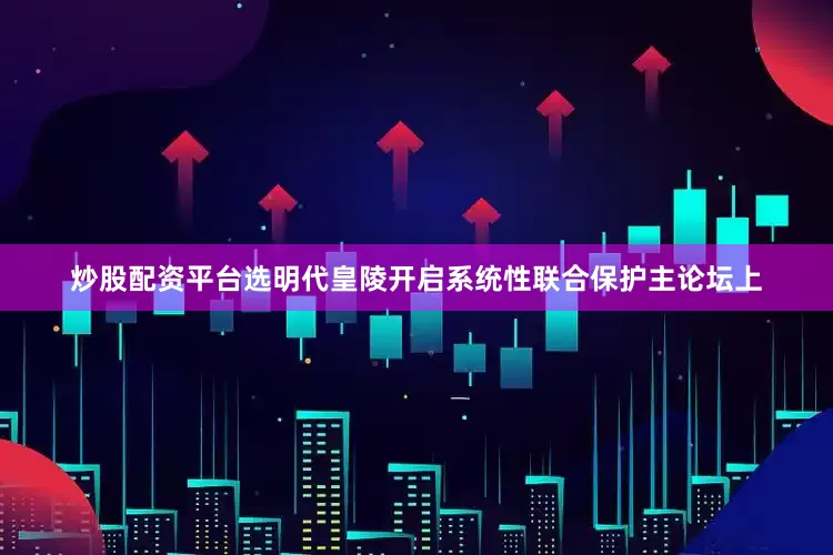 炒股配资平台选明代皇陵开启系统性联合保护主论坛上