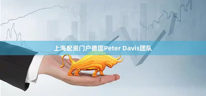 上海配资门户德国Peter Davis团队